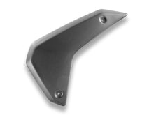 DBK Special Parts (Ducabike) Carbon Fiber Front Upper Side Panels for BMW R 1300 GS