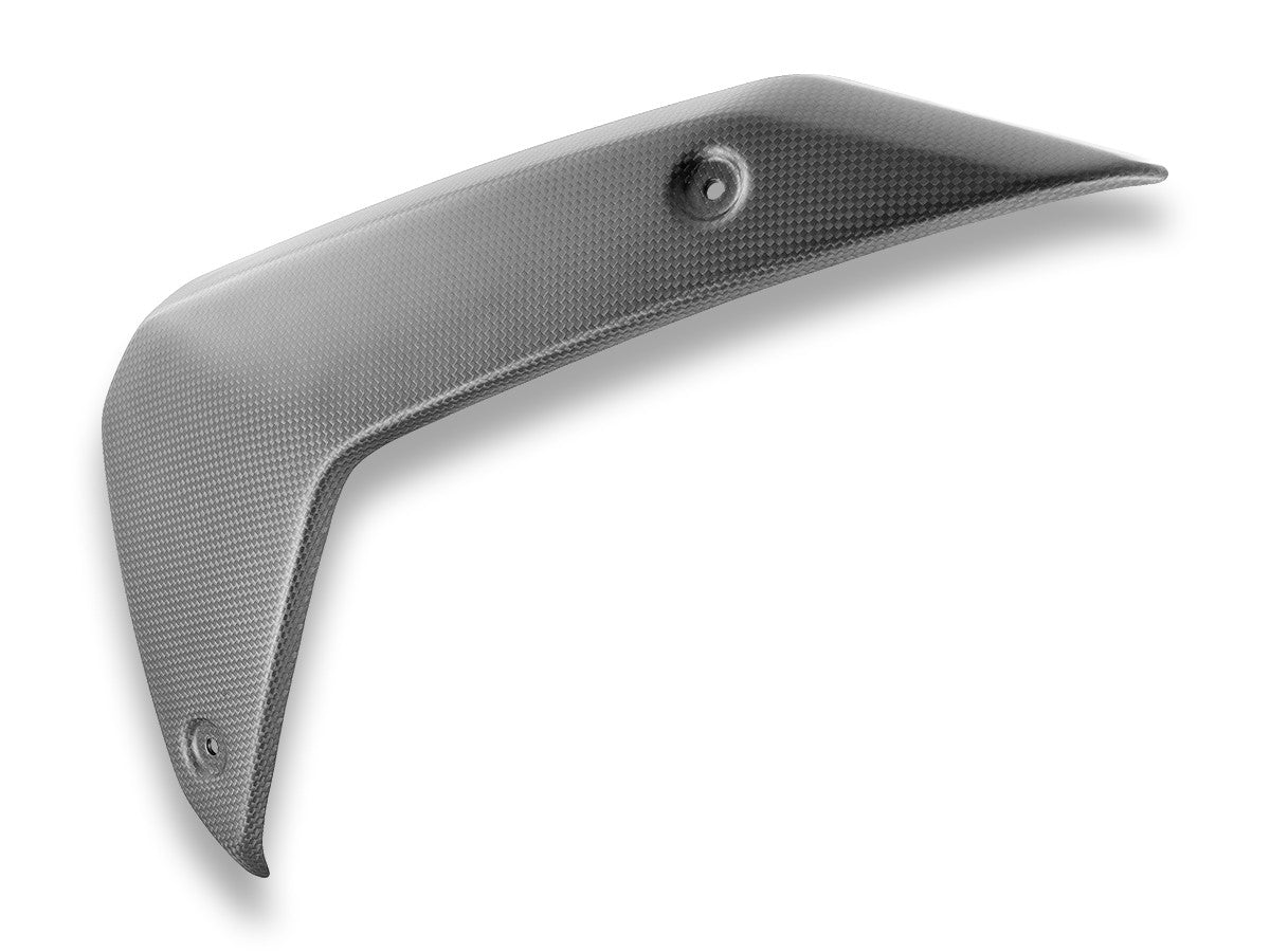 DBK Special Parts (Ducabike) Carbon Fiber Front Upper Side Panels for BMW R 1300 GS