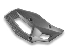 DBK Special Parts (Ducabike) Carbon Fiber Rear Lower Side Panels for BMW R 1300 GS