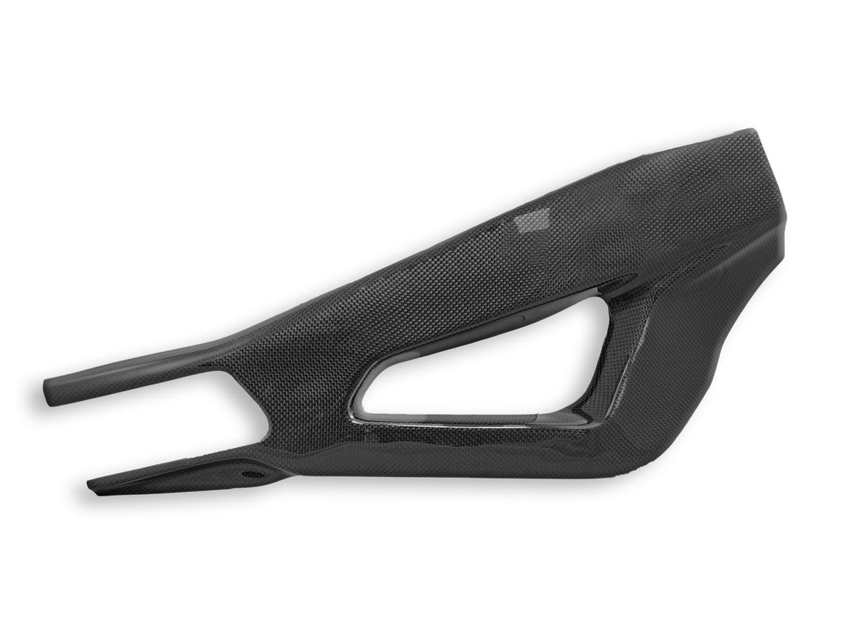 DBK Special Parts (Ducabike) Carbon Fiber Swingarm Guard Covers for BMW S1000RR and S1000R / M1000R (2020+)