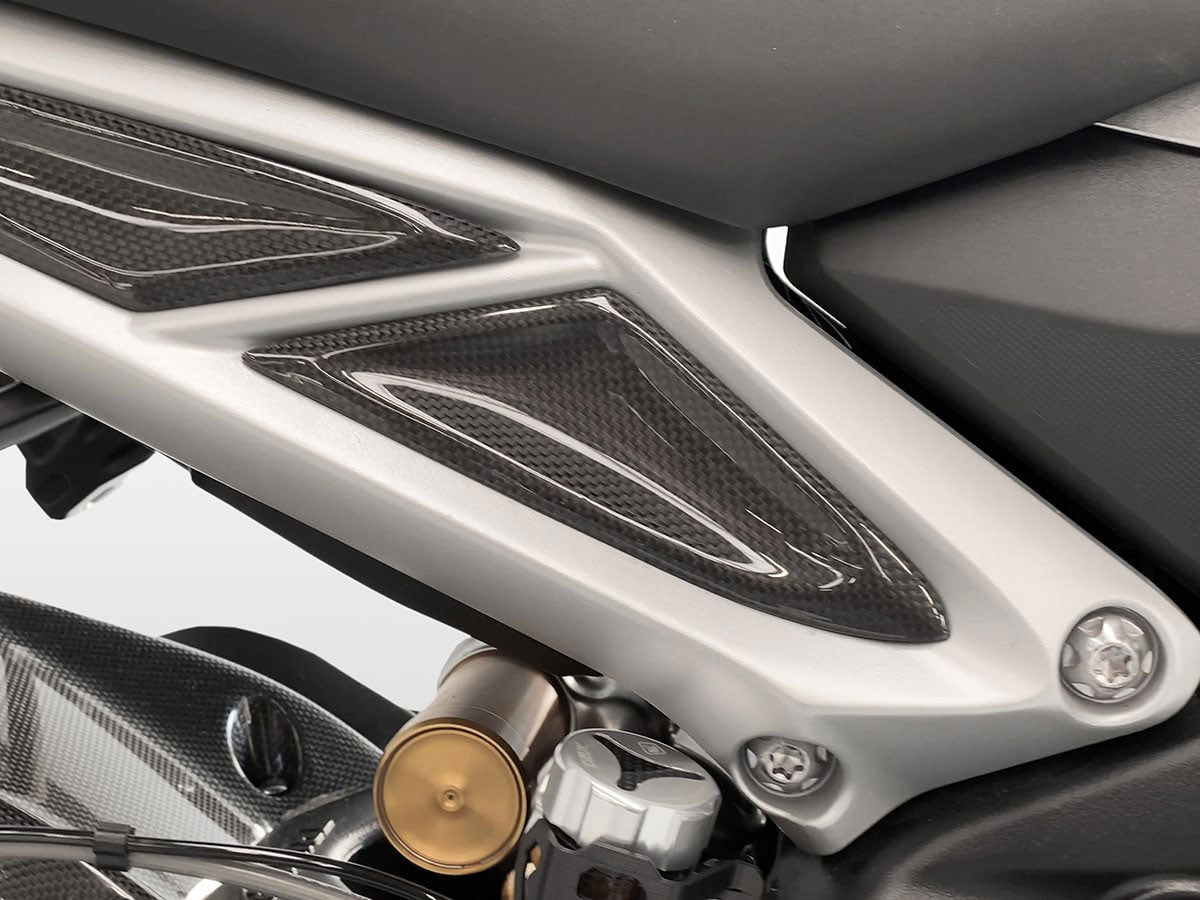 DBK Special Parts (Ducabike) Carbon Fiber Front Tail Inserts for Triumph Street Triple 765 S/R/RS