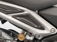 DBK Special Parts (Ducabike) Carbon Fiber Front Tail Inserts for Triumph Street Triple 765 S/R/RS
