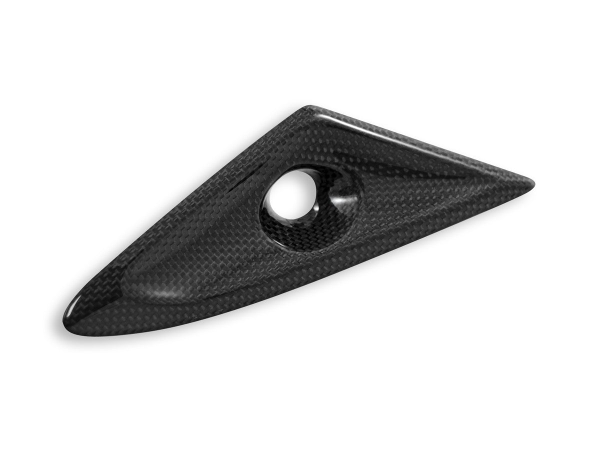 DBK Special Parts (Ducabike) Carbon Fiber Front Tail Inserts for Triumph Street Triple 765 S/R/RS