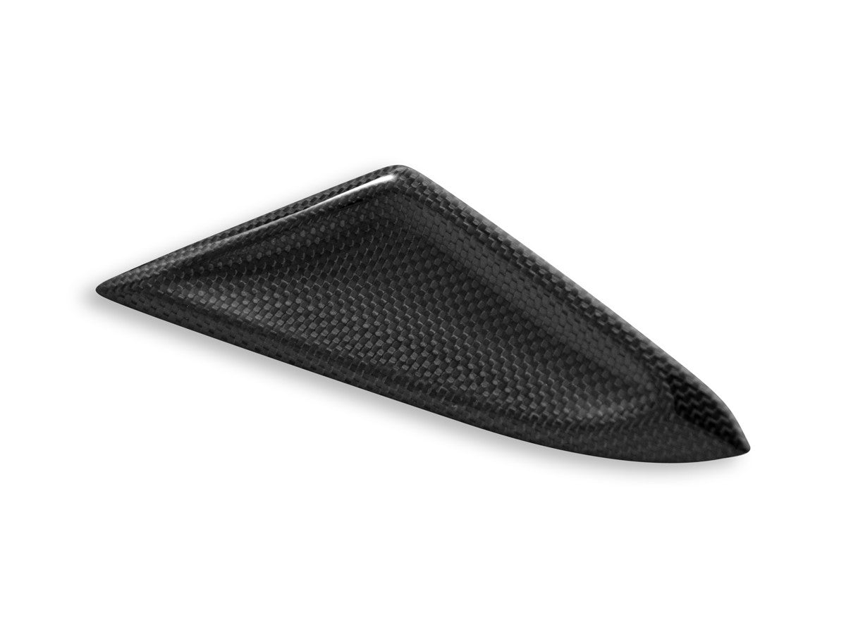 DBK Special Parts (Ducabike) Carbon Fiber Front Tail Inserts for Triumph Street Triple 765 S/R/RS