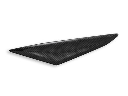 DBK Special Parts (Ducabike) Carbon Fiber Rear Tail Inserts for Triumph Street Triple 765 S/R/RS