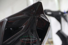CARBONVANI - DUCATI 1199 PANIGALE CARBON FIBER TAIL SECTION  RACING VERSION