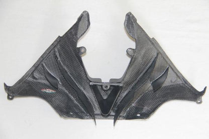 CARBONVANI - DUCATI 1199 PANIGALE HEADLIGHT AIRDUCT