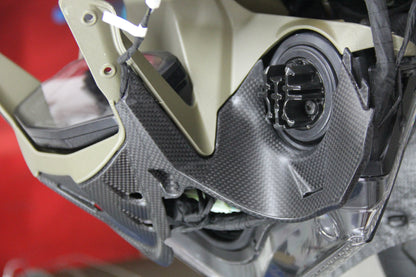 CARBONVANI - DUCATI 1299/ 1199 S / R / Superleggera PANIGALE CARBON FIBER INSTRUMENT COVER