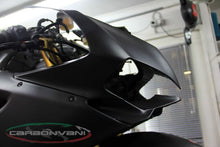 CARBONVANI - DUCATI 1199/899 PANIGALE CARBON FIBER HEADLIGHT FAIRING - ROAD VERSION