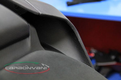 CARBONVANI - DUCATI 899 PANIGALE CARBON FIBER TAIL LH SIDE