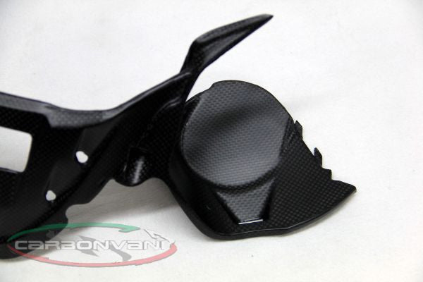 CARBONVANI - DUCATI 899 PANIGALE INSTRUMENT COVER