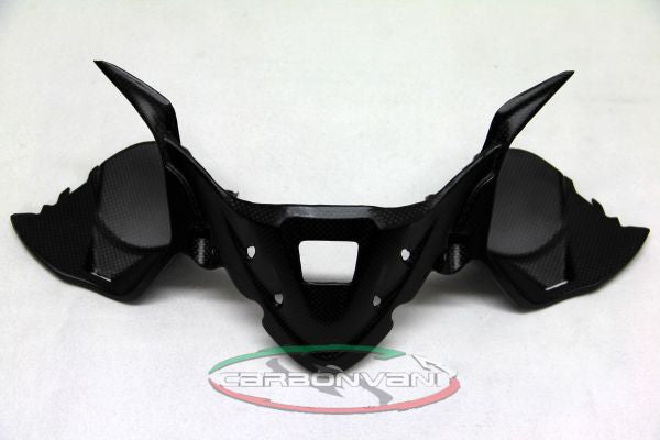 CARBONVANI - DUCATI 1199 PANIGALE CARBON FIBER INSTRUMENT COVER
