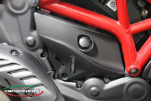 CARBONVANI - DUCATI MONSTER 821 / 1200 CARBON FIBER COOLANT TANK COVER