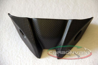 CARBONVANI - DUCATI MONSTER 821 / 1200 CARBON FIBER INSTRUMENT COVER
