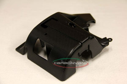 CARBONVANI - DUCATI 2017+ MONSTER 821 / 1200 CARBON FIBER CANISTER COVER