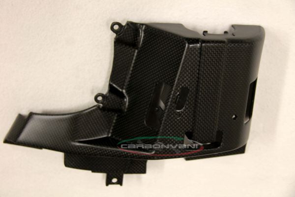 CARBONVANI - DUCATI 2017+ MONSTER 821 / 1200 CARBON FIBER CANISTER COVER