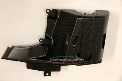 CARBONVANI - DUCATI 2017+ MONSTER 821 / 1200 CARBON FIBER CANISTER COVER