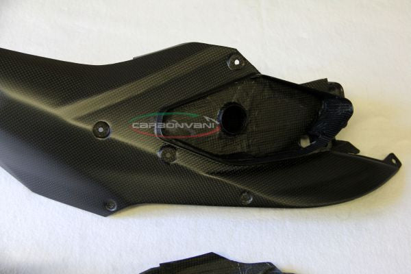 CARBONVANI - DUCATI MULTISTRADA 1200 CARBON FIBER FRONT AIR INLETS KIT for 2010-2014