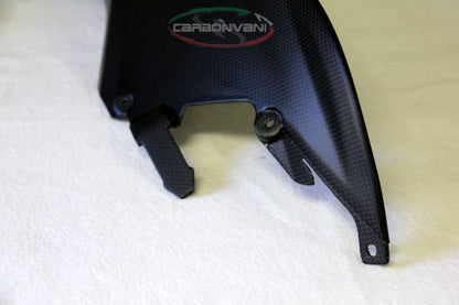 CARBONVANI - DUCATI MULTISTRADA 1200 CARBON FIBER FRONT AIR INLETS KIT for 2010-2014