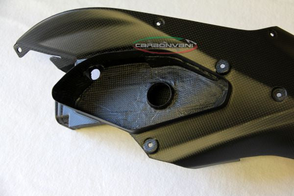 CARBONVANI - DUCATI MULTISTRADA 1200 CARBON FIBER FRONT AIR INLETS KIT for 2010-2014