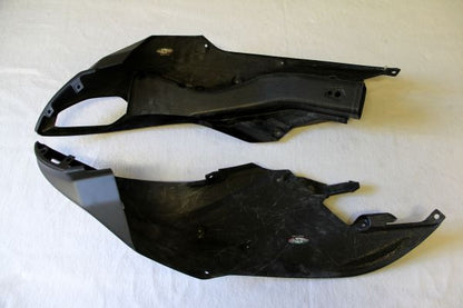 CARBONVANI - DUCATI MULTISTRADA 1200 CARBON FIBER FRONT AIR INLETS KIT for 2010-2014