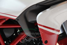 CARBONVANI - DUCATI MULTISTRADA 1200 CARBON FIBER PAIR OF AIR EXTRACTORS for 2010-2014
