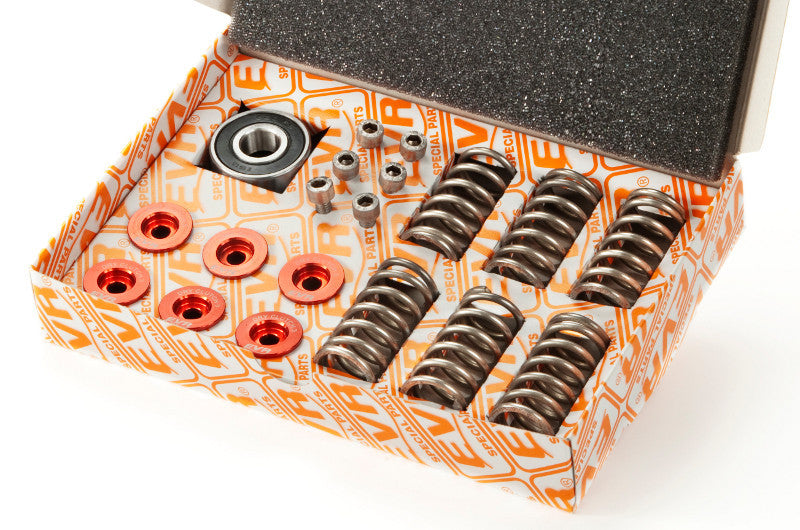 EVR Dry Clutch Stainless Steel Hardware kit (Retainers  Springs  Screws  and Throw-out Bearing)