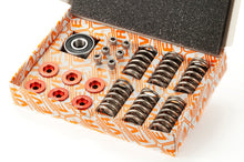 EVR Dry Clutch Stainless Steel Hardware kit (Retainers  Springs  Screws  and Throw-out Bearing)