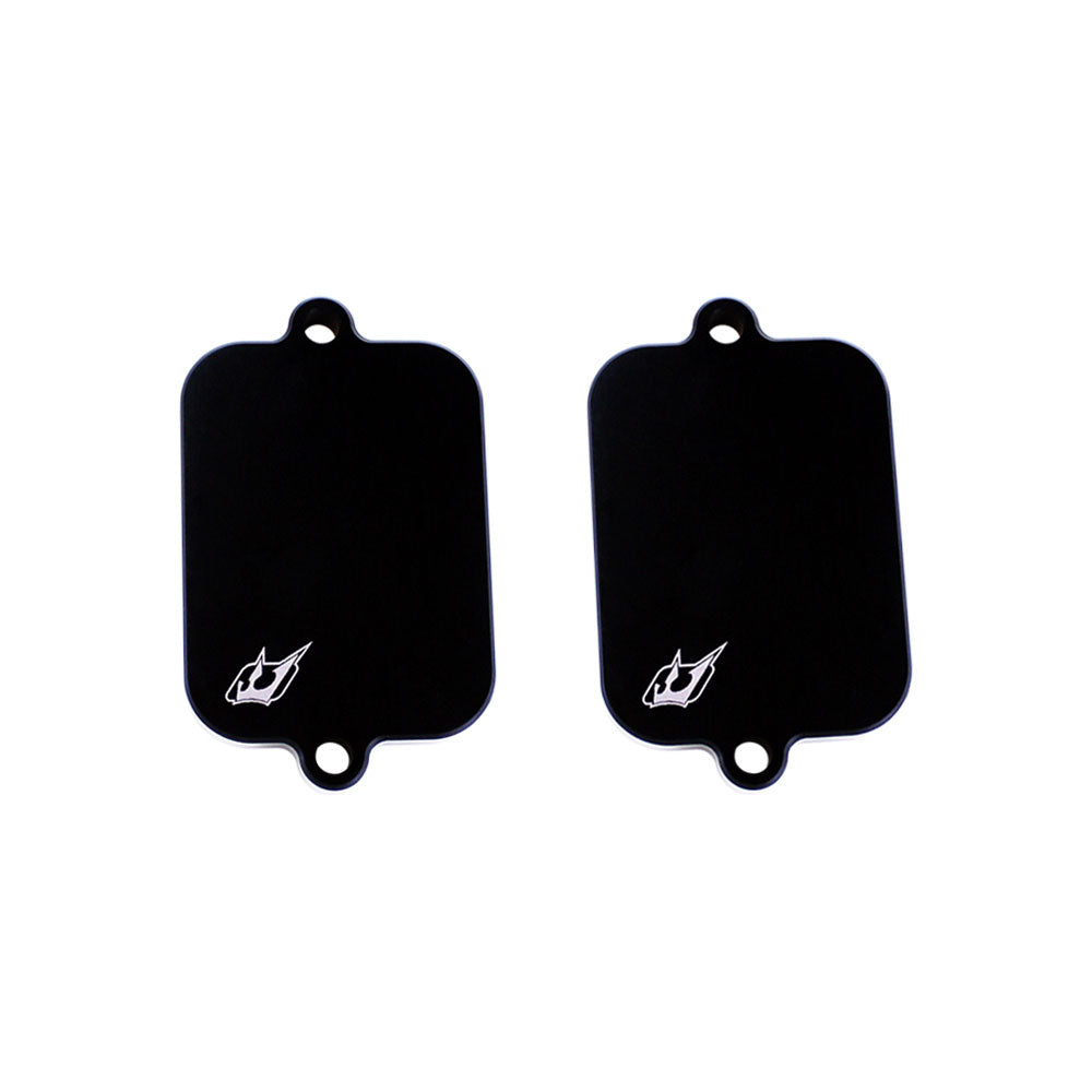 Driven Racing Engine Block off plate kit for Early Kawasaki 1000 / 1100 / 1200 / 700 Models