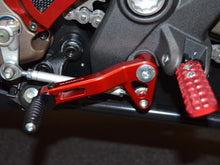 DBK Special Parts (Ducabike) Shift Lever for the Ducati Monster 821/1200 (14-16) and Monster 1200R (all)