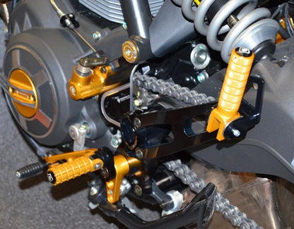 DBK Special Parts (Ducabike) Passenger Rearset Subframe Kit for the Ducati Scrambler & Monster 797