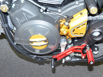 DBK Special Parts (Ducabike) Shift Lever for the Ducati Scrambler & Monster 797