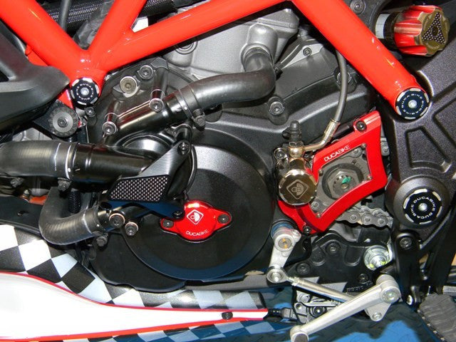 DBK Special Parts (Ducabike) Billet Water Pump Protector for the Ducati Diavel Multistrada 1200/1260/950 (2015+)  Monster 1200/821  and Hypermotard 939