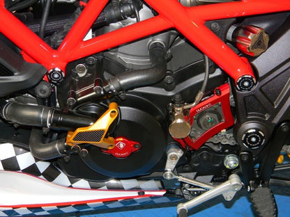 DBK Special Parts (Ducabike) Billet Water Pump Protector for the Ducati Diavel Multistrada 1200/1260/950 (2015+)  Monster 1200/821  and Hypermotard 939