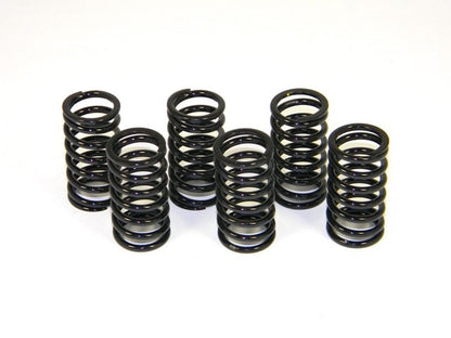 DBK Special Parts (Ducabike) Dry Clutch Springs (6)