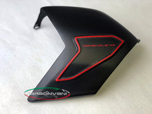 Carbonvani - Ducati Panigale V4 / S / R / Speciale Carbon Fiber Swingarm Guard - DP Version