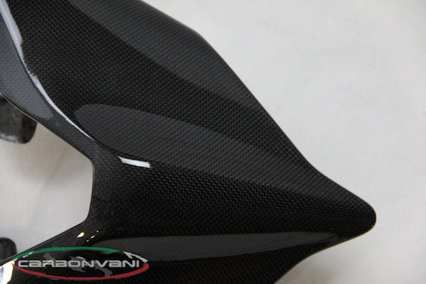 Carbonvani - Ducati Panigale / Streetfighter V4 / V2 / S / R / Speciale Carbon Fiber Tail - Road Version