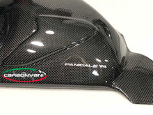 Carbonvani - Ducati Panigale V4 / S / R / Speciale Carbon Fiber Swingarm Guard - Competition Version