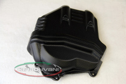Carbonvani - Ducati Panigale / Streetfighter V4 / S / R / Speciale Carbon Fiber Vertical Cylinder Cover Kit (2 pieces)