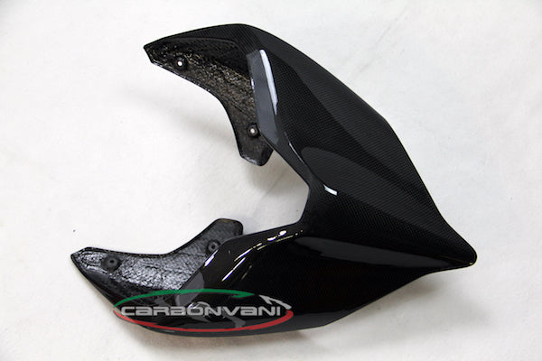 Carbonvani - Ducati Panigale / Streetfighter V4 / V2 / S / R / Speciale Carbon Fiber Tail - Road Version