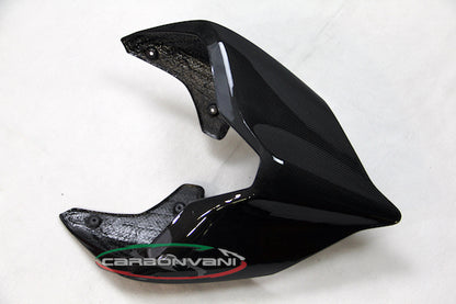 Carbonvani - Ducati Panigale / Streetfighter V4 / V2 / S / R / Speciale Carbon Fiber Tail - Road Version