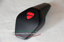 Carbonvani - Ducati Panigale / Streetfighter V4 / V2 / S / R / Speciale Carbon Fiber Tail Pad