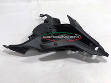 Carbonvani - Ducati Panigale / Streetfighter V4 / V2 / S / R / Speciale Carbon Fiber Bottom Tail (Tray)