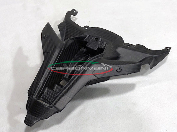 Carbonvani - Ducati Panigale / Streetfighter V4 / V2 / S / R / Speciale Carbon Fiber Bottom Tail (Tray)