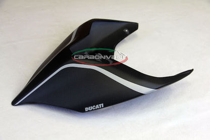 Carbonvani - Ducati Panigale / Streetfighter V4 / S / R / Speciale Carbon Fiber Tail - "R" Road Version