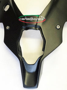 Carbonvani - Ducati Streetfighter V4 / S Carbon Fiber Lower Tail