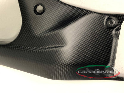 Carbonvani - Ducati Panigale / Streetfighter V4 / S / R Carbon Fiber Frame (Fuel Tank Side) Covers