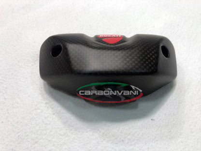 Carbonvani - Ducati Streetfighter V4 / S Carbon Fiber Instrument Cover