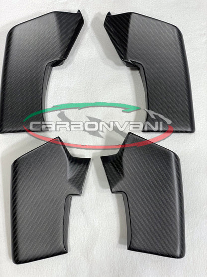 Carbonvani - Ducati Streetfighter V4 / V2 Carbon Fiber Winglet Kit (4 pieces)