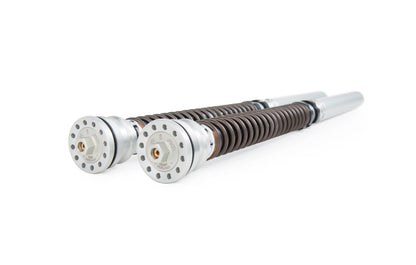 Ohlins Hypersport FKR Pressurized Cartridge Kit for Ducati Panigale V4 / 959 / 899